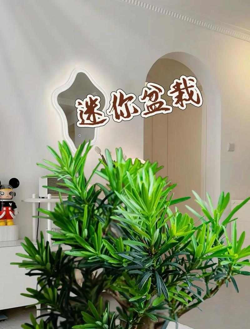 以罗汉跟什么混养好？（选择合适的伙伴是罗汉鱼健康生活的关键）(图2)