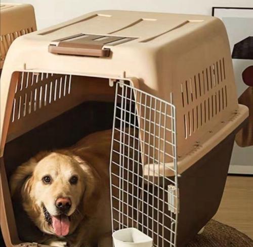 带狗旅行的航空公司选择指南（哪些航空公司可以带狗？带狗旅行前你需要了解的重要信息）(图4)