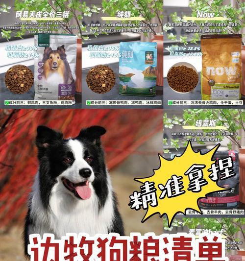 养边牧幼犬的喂食指南（边牧幼犬的合理饮食安排及注意事项）(图2)