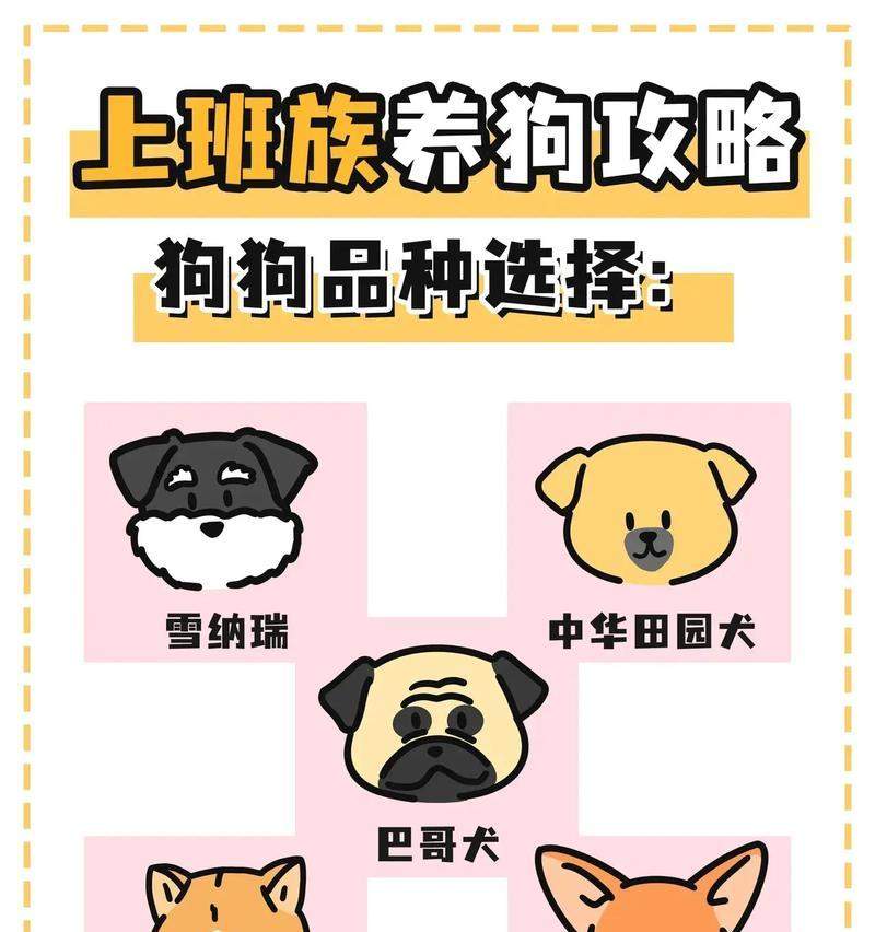 宠物世界的品种选择——你的理想伴侣（了解不同品种的宠物，找到适合自己的伙伴）(图4)