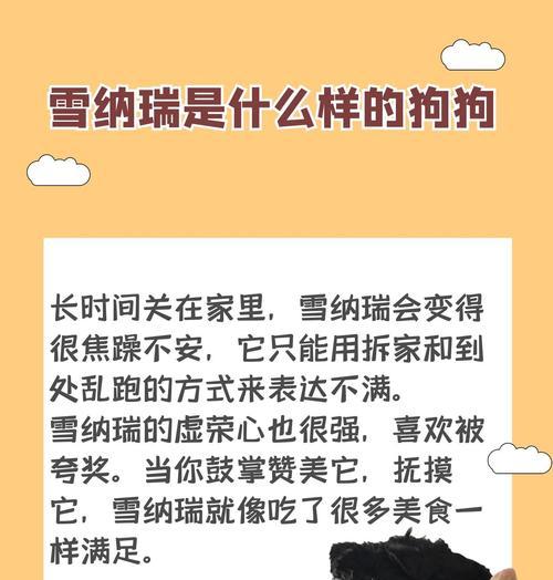 雪纳瑞腿毛的生长周期（揭秘雪纳瑞腿毛生长的时间和因素）(图2)