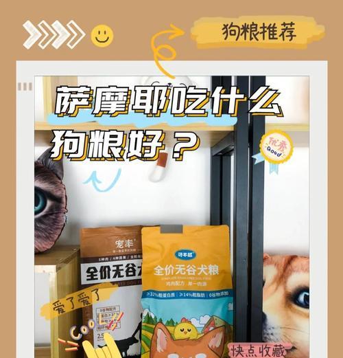 了解萨摩耶的日常饮食需求（科学喂养萨摩耶，让它健康成长）(图4)