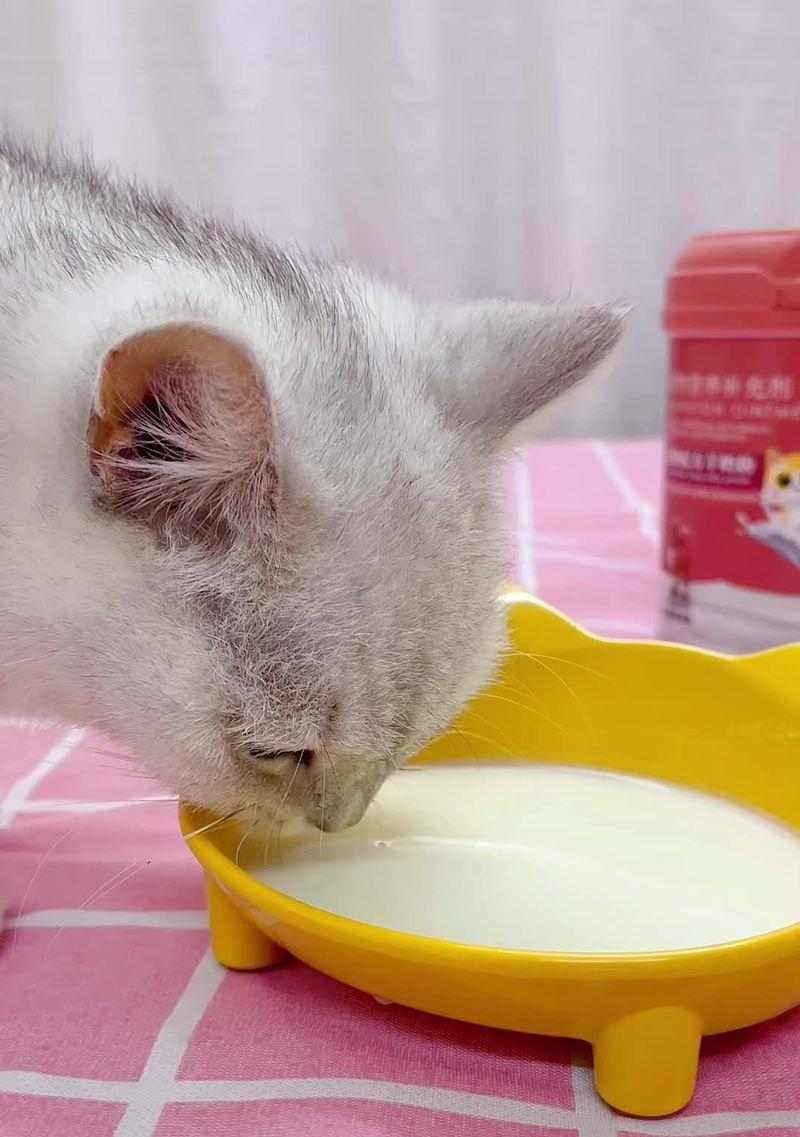 小奶猫怎么喂养才健康？（选择合适的奶粉是关键！） - 新生家伴