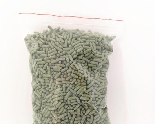 小鳄鱼龟不吃东西？怎么办？（饲养小鳄鱼龟需要注意的关键问题及解决方法）(图1)