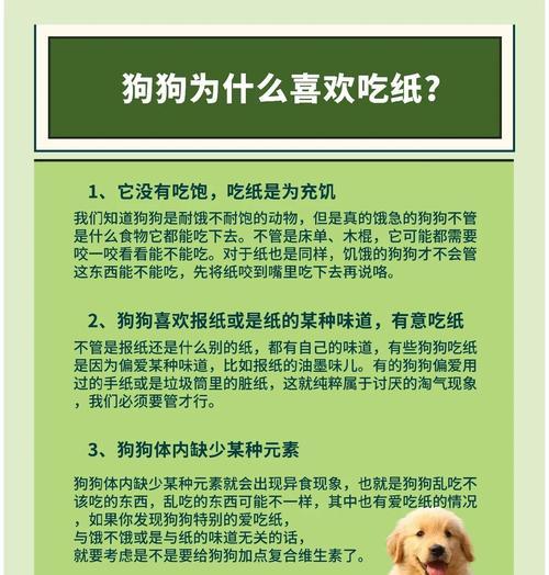 金毛犬公性情转变的时机及原因分析(从幼年到成年)(图2) 金毛犬公性情转变的时机及原因分析(从幼年到成年)(图2)