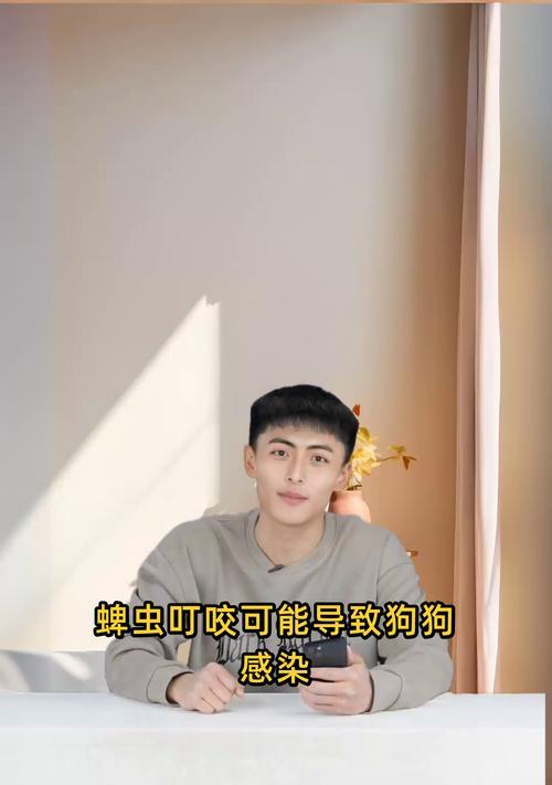 以犬焦虫——狗狗健康的威胁(以犬焦虫的症状及预防措施)(图2) 以犬焦虫——狗狗健康的威胁(以犬焦虫的症状及预防措施)(图2)