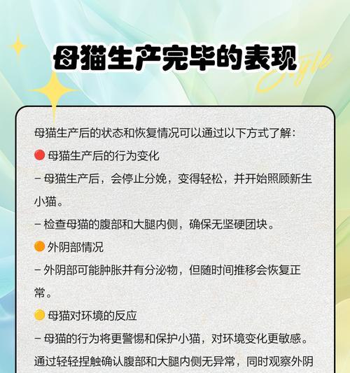 母猫生产的时间和过程（了解母猫生产的时间和过程，帮助您关心和照顾猫咪健康）(图4)