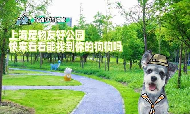 上海公园遛狗好去处推荐（探索上海城市中的狗友乐园，与爱宠共享美好时光）(图2)