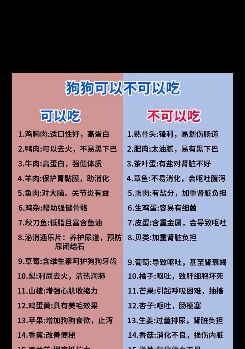 三个月泰迪的饮食指南（了解适合三个月泰迪的食物和禁忌）(图2)
