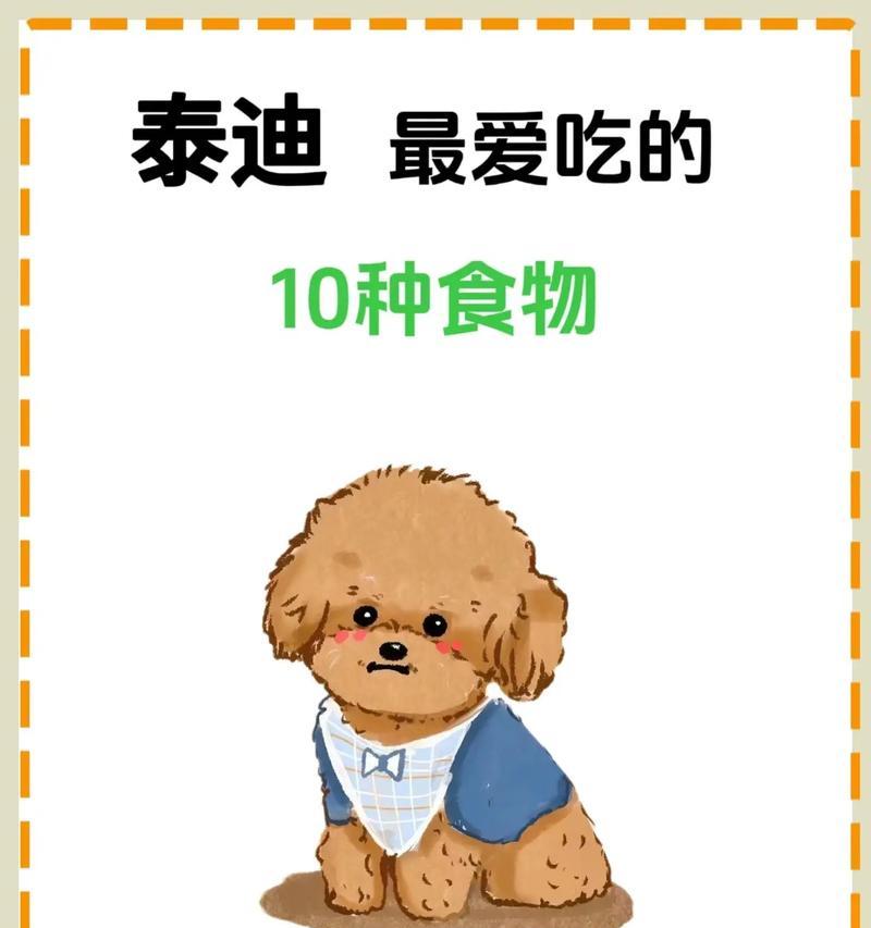 三个月泰迪的饮食指南（了解适合三个月泰迪的食物和禁忌）(图3)