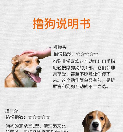 以撸狗的正确姿势是什么?(高超的抚摸技巧让它爱上你)(图2) 以撸狗的正确姿势是什么?(高超的抚摸技巧让它爱上你)(图2)