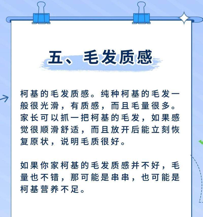 柯基毛什么时候变厚？（探究柯基毛量增加的