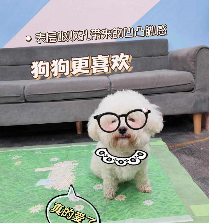 接小狗回家的准备与注意事项（为宠物狗的到来做好充分准备） - 新生家伴