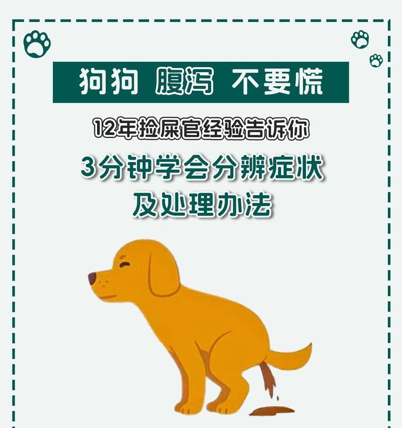 养金毛犬需注意的要点(如何正确照顾你的金毛宝贝)(图1) 养金毛犬需注意的要点(如何正确照顾你的金毛宝贝)(图1)