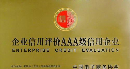 以信用为基础的网络世界（构建可信网络环境，）(图2)