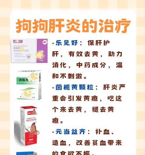 狗狗肝炎的症状及预防措施（了解狗狗肝炎的常见症状，保护它们的健康）(图3)