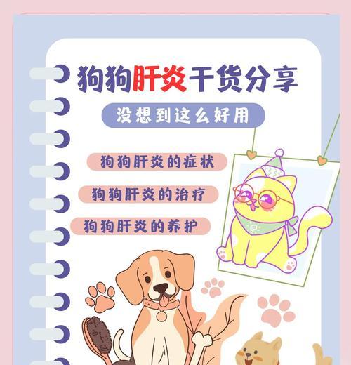 狗狗肝炎的症状及预防措施（了解狗狗肝炎的常见症状，保护它们的 - 新生家伴