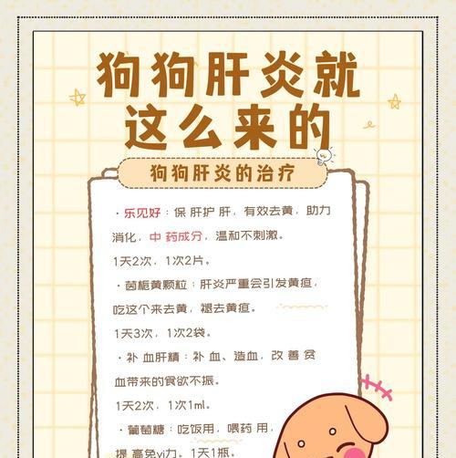 狗狗肝炎的症状及预防措施（了解狗狗肝炎的常见症状，保护它们的健康）(图2)