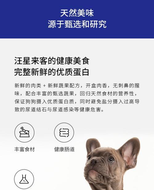 柯基挑食能坚持多久?(探索柯基独特的体能和毅力,揭示它们的持久之道)(图1) 柯基挑食能坚持多久?(探索柯基独特的体能和毅力,揭示它们的持久之道)(图1)