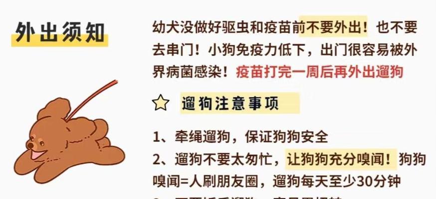 幼犬带回家后多久打驱虫合适？（宠物犬打驱虫时间表与方法解析）(图4)