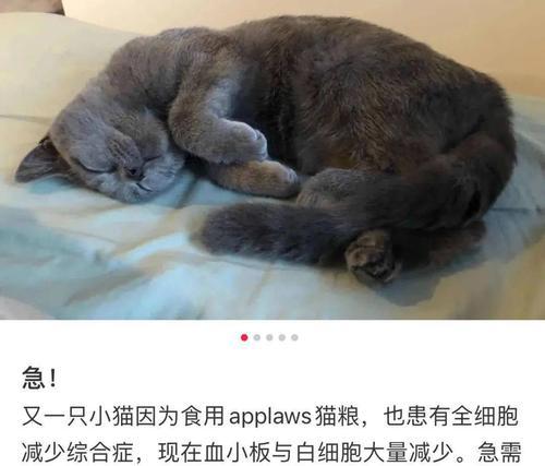 急救猫咪中毒，三步拯救猫命（熟悉猫咪中毒