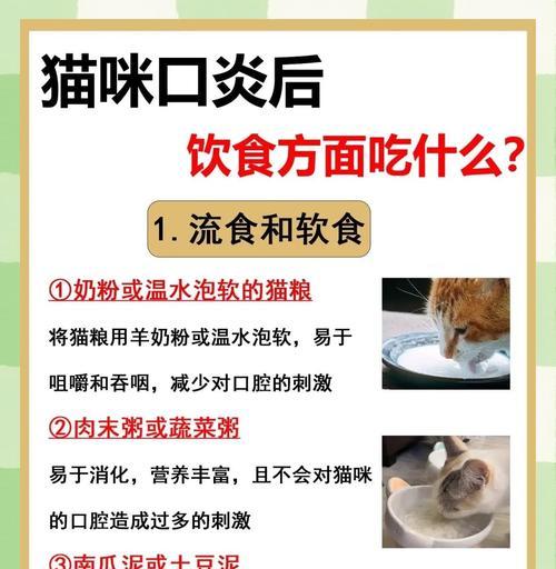 猫粮泡软的时间究竟有多久？（影响猫粮泡软时间的关键因素及正确的泡软方式）(图4)