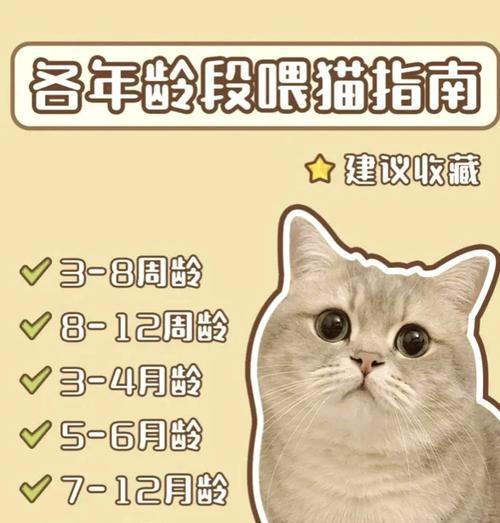 猫粮泡软的时间究竟有多久？（影响猫粮泡软