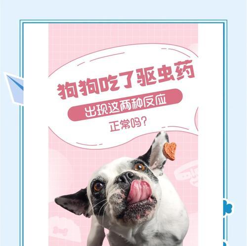 狗崽吃打虫药的频率及注意事项（狗崽多久吃