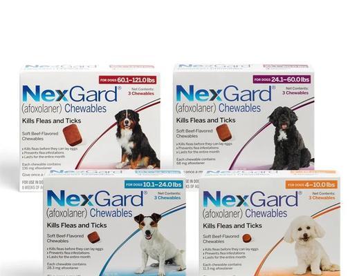 狗崽吃打虫药的频率及注意事项（狗崽多久吃一次打虫药？）(图2)