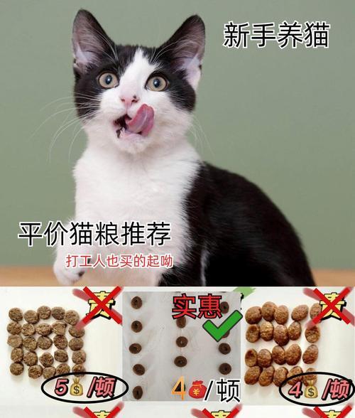 进口猫粮为什么断货？（探究进口猫粮断货背后的原因及解决方案）(图3)