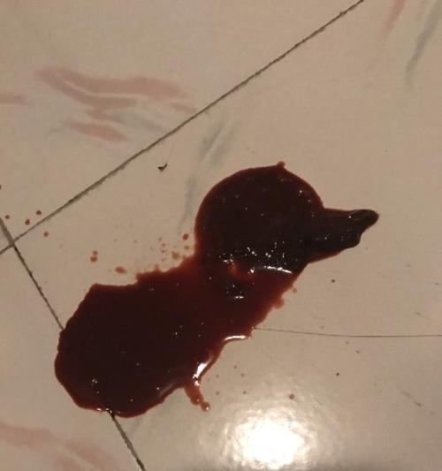 泰迪屎腥臭的原因解析（探究泰迪屎腥臭背后的科学原因） - 新生家伴