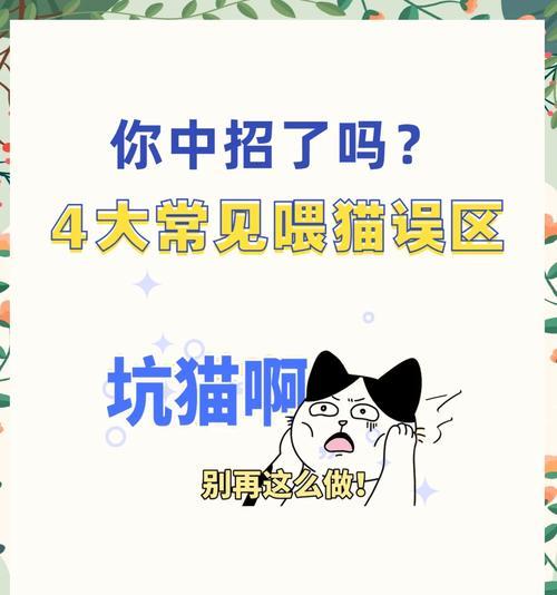 如何合理安排猫咪的饮食时间和频率（三个月大猫咪的科学喂养方法，让它健康成长） - 新生家伴
