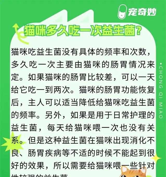 如何合理安排猫咪的饮食时间和频率(三个月大猫咪的科学喂养方法,让它健康成长)(图2) 如何合理安排猫咪的饮食时间和频率(三个月大猫咪的科学喂养方法,让它健康成长)(图2)