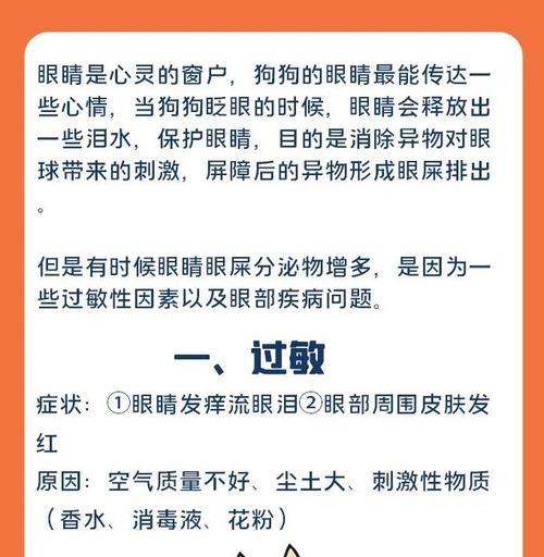 狗狗眼睛常见疾病及预防方法（了解你的狗狗眼睛的常见问题，提前预防疾病！）(图3)