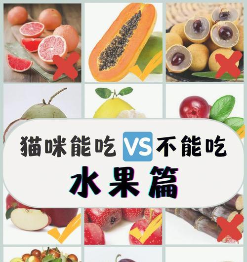 猫咪的饮食(探索猫咪可以吃的食物及其益处)(图1) 猫咪的饮食(探索猫咪可以吃的食物及其益处)(图1)