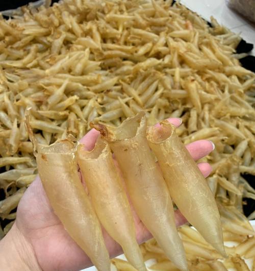 食用蜘蛛的好处（探究蜘蛛的营养价值和健康