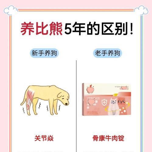 比熊毛剃后需要多久才会长出？（探索比熊毛