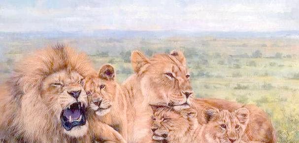 犀牛（揭秘犀牛身上的原因和优势）(图1)