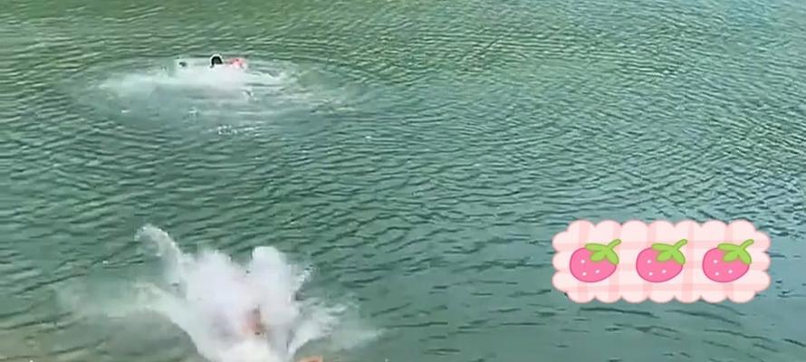 狗狗呛水后需要多长时间才能康复？(图2)