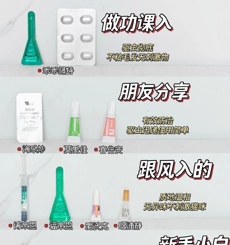 猫咪驱虫时间表（揭秘猫咪驱虫的最佳时机及方法）(图2)