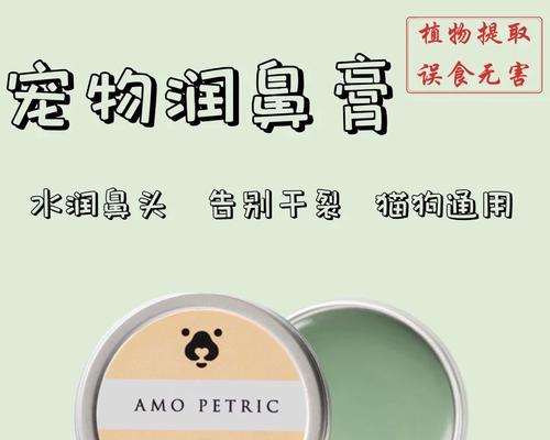 狗狗鼻子干裂如何护理（干裂鼻子的原因及治疗方法）(图2)