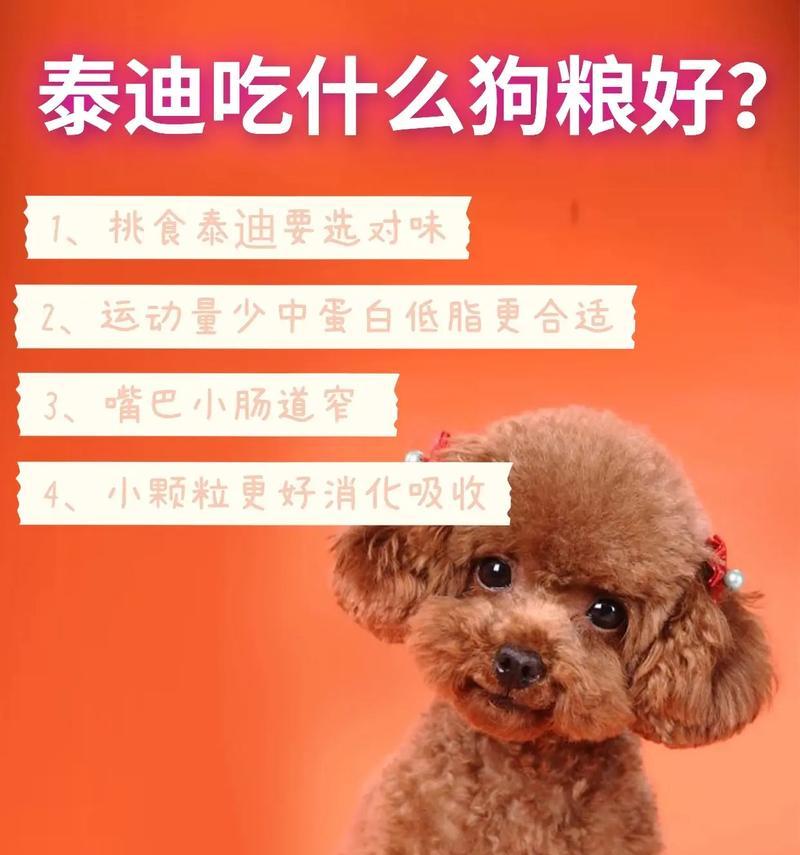 泰迪幼犬的饮食指南（养育泰迪幼犬的关键是什么）(图3)