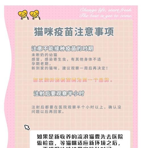 猫咪接种疫苗后多久可怀孕？（了解猫咪疫苗接种与怀孕之间的时间间隔）(图3)