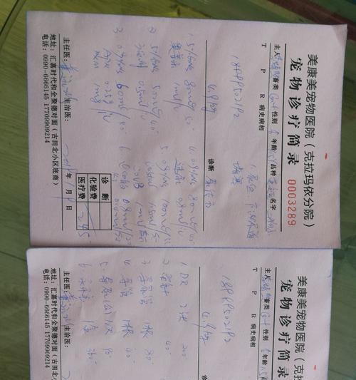 猫结石康复需要多久？（了解猫结石康复时间的关键因素。）(图2)