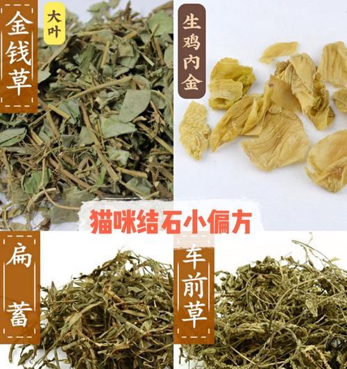 猫结石康复需要多久？（了解猫结石康复时间的关键因素。）(图1)