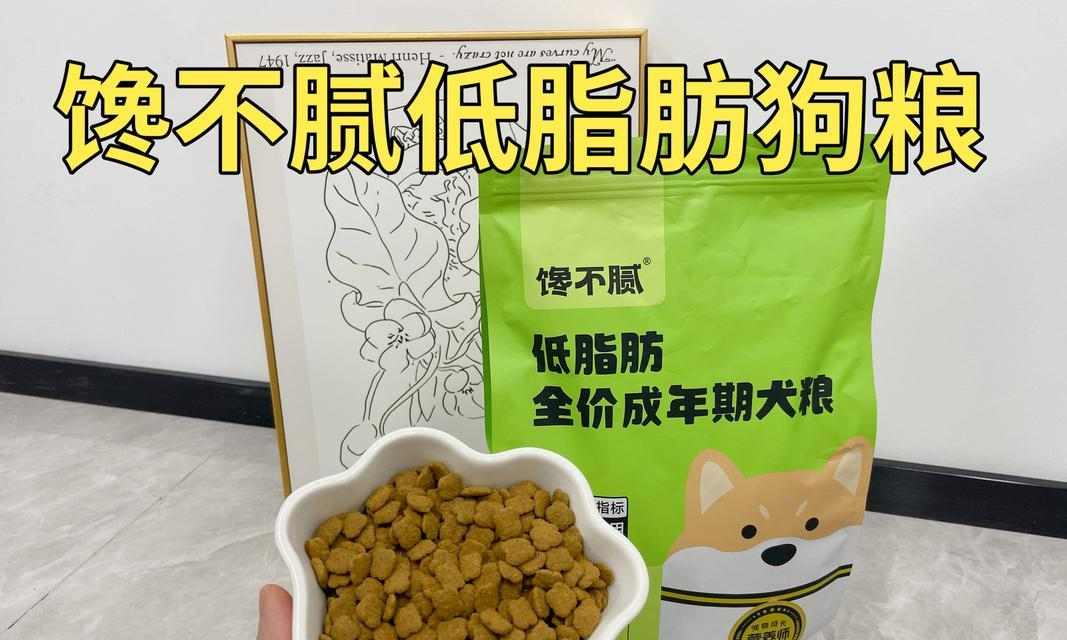 狗狗的饮食选择(探讨狗狗饮食的最佳选择,米饭与狗粮)(图4) 狗狗的饮食选择(探讨狗狗饮食的最佳选择,米饭与狗粮)(图4)