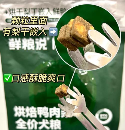 凉水泡狗粮的最佳时间（探究以狗粮用凉水泡多久才能软化的最佳方法）(图1)