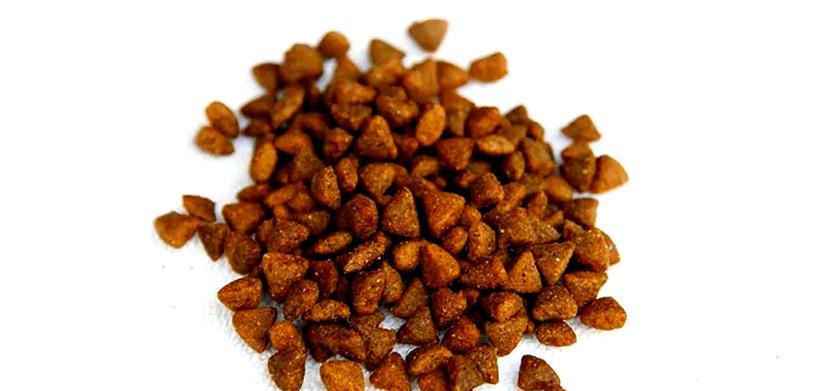 凉水泡狗粮的最佳时间（探究以狗粮用凉水泡多久才能软化的最佳方法）(图4)