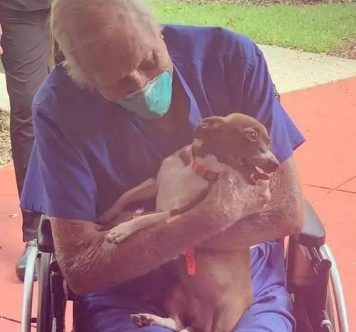 狗中风前的表现及其“早期狗中风症状”（掌握这些早期症状，及早发现和治疗狗中风）(图2)