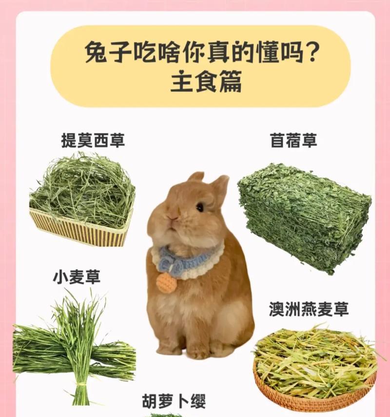 兔年养兔必看（了解兔兔行为，做个贴心养主！）(图2)